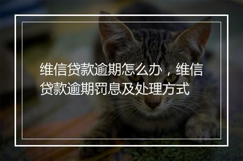 维信贷款逾期怎么办，维信贷款逾期罚息及处理方式