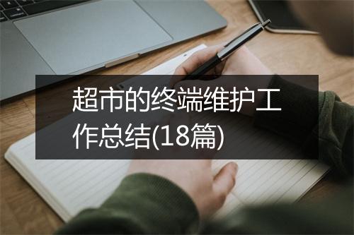 超市的终端维护工作总结(18篇)