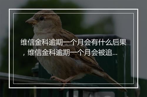维信金科逾期一个月会有什么后果，维信金科逾期一个月会被追责吗