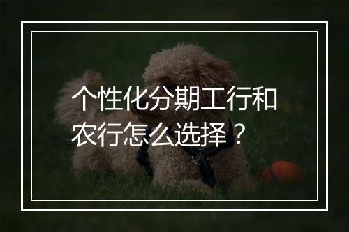 个性化分期工行和农行怎么选择？