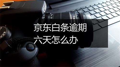 京东白条逾期六天怎么办