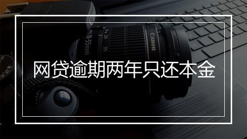网贷逾期两年只还本金