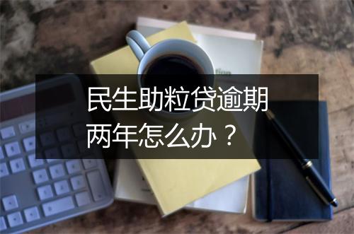 民生助粒贷逾期两年怎么办？