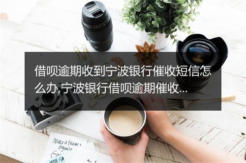借呗逾期收到宁波银行催收短信怎么办,宁波银行借呗逾期催收流程解析