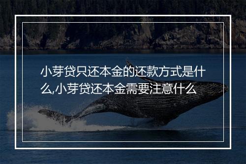 小芽贷只还本金的还款方式是什么,小芽贷还本金需要注意什么
