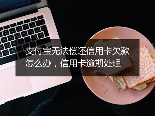支付宝无法偿还信用卡欠款怎么办，信用卡逾期处理