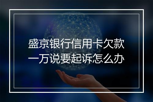 盛京银行信用卡欠款一万说要起诉怎么办