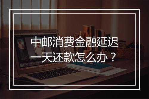 中邮消费金融延迟一天还款怎么办？