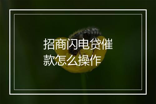 招商闪电贷催款怎么操作