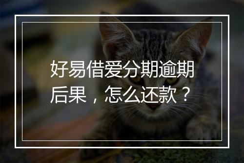 好易借爱分期逾期后果，怎么还款？