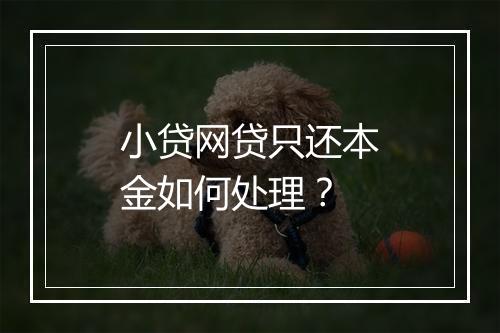 小贷网贷只还本金如何处理？