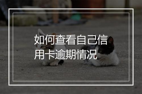 如何查看自己信用卡逾期情况
