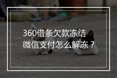360借条欠款冻结微信支付怎么解冻？