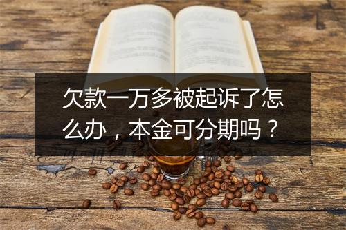 欠款一万多被起诉了怎么办，本金可分期吗？