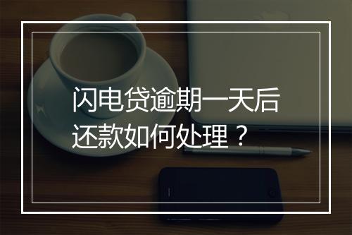 闪电贷逾期一天后还款如何处理？