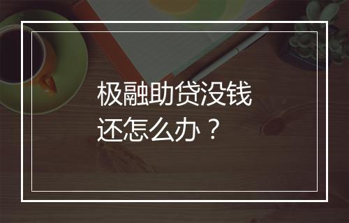 极融助贷没钱还怎么办？