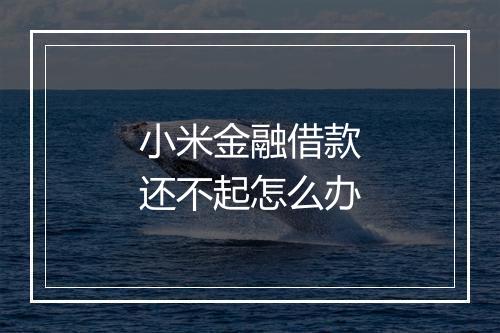 小米金融借款还不起怎么办