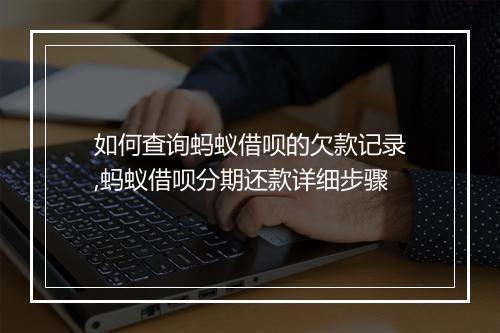 如何查询蚂蚁借呗的欠款记录,蚂蚁借呗分期还款详细步骤