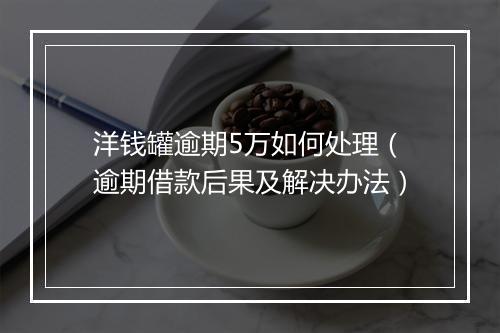 洋钱罐逾期5万如何处理（逾期借款后果及解决办法）