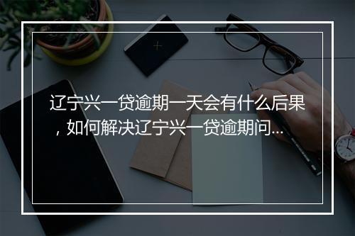 辽宁兴一贷逾期一天会有什么后果，如何解决辽宁兴一贷逾期问题