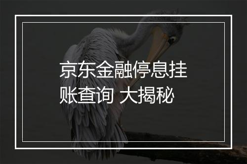 京东金融停息挂账查询 大揭秘
