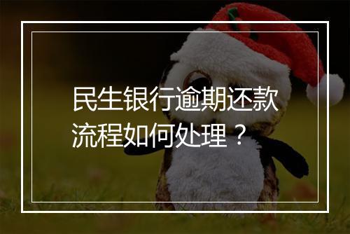民生银行逾期还款流程如何处理？