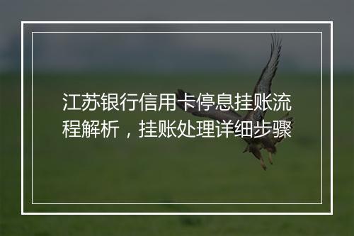 江苏银行信用卡停息挂账流程解析，挂账处理详细步骤