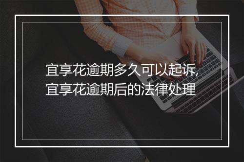 宜享花逾期多久可以起诉,宜享花逾期后的法律处理