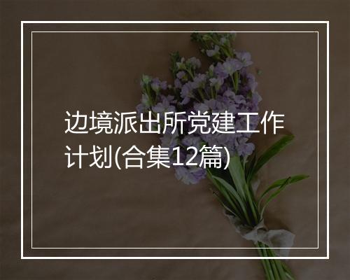 边境派出所党建工作计划(合集12篇)