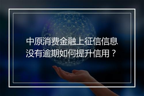 中原消费金融上征信信息没有逾期如何提升信用？