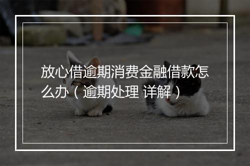 放心借逾期消费金融借款怎么办（逾期处理 详解）