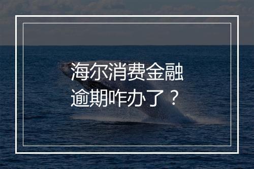海尔消费金融逾期咋办了？