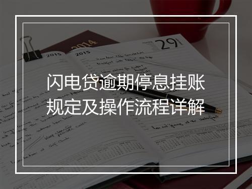 闪电贷逾期停息挂账规定及操作流程详解