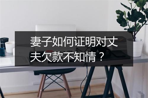 妻子如何证明对丈夫欠款不知情？