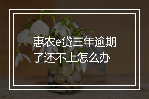 惠农e贷三年逾期了还不上怎么办