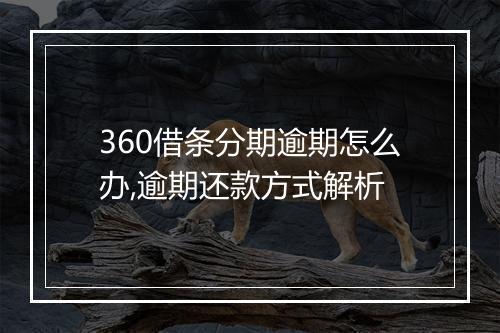 360借条分期逾期怎么办,逾期还款方式解析