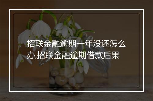 招联金融逾期一年没还怎么办,招联金融逾期借款后果