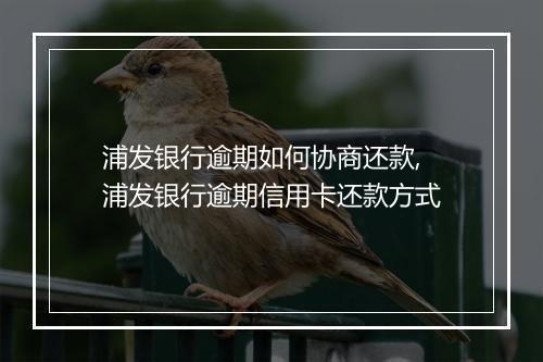 浦发银行逾期如何协商还款,浦发银行逾期信用卡还款方式