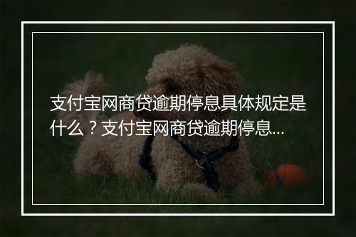 支付宝网商贷逾期停息具体规定是什么？支付宝网商贷逾期停息会对个人信用有什么影响？