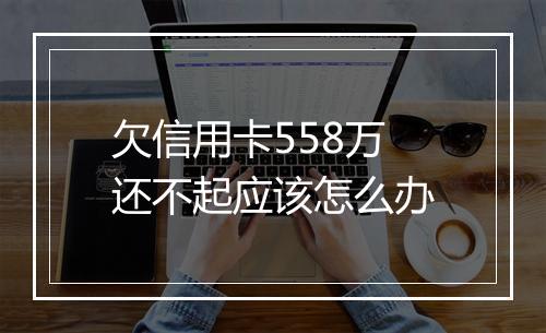 欠信用卡558万还不起应该怎么办
