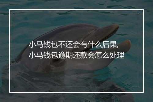 小马钱包不还会有什么后果,小马钱包逾期还款会怎么处理