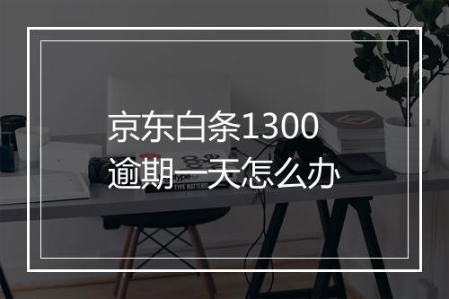 京东白条1300逾期一天怎么办