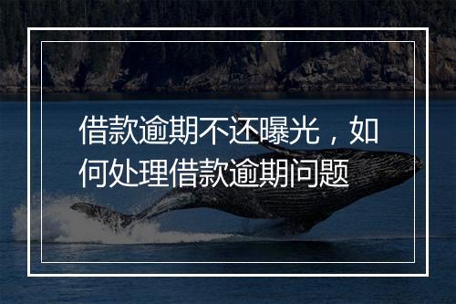 借款逾期不还曝光，如何处理借款逾期问题