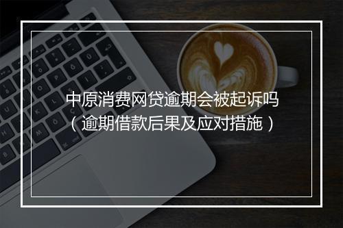 中原消费网贷逾期会被起诉吗（逾期借款后果及应对措施）
