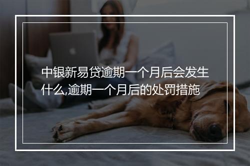 中银新易贷逾期一个月后会发生什么,逾期一个月后的处罚措施