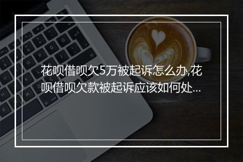 花呗借呗欠5万被起诉怎么办,花呗借呗欠款被起诉应该如何处理