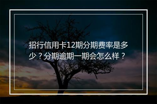 招行信用卡12期分期费率是多少？分期逾期一期会怎么样？
