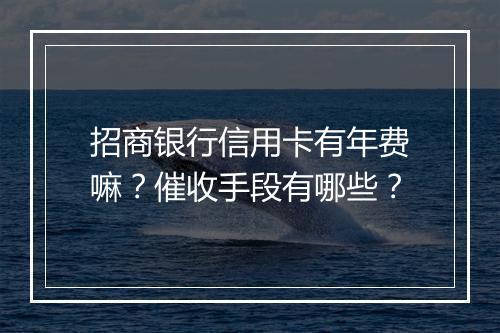 招商银行信用卡有年费嘛？催收手段有哪些？