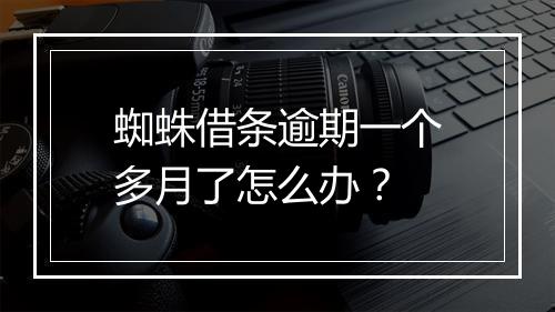 蜘蛛借条逾期一个多月了怎么办？