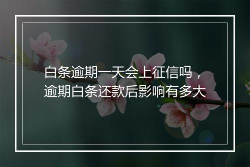 白条逾期一天会上征信吗，逾期白条还款后影响有多大